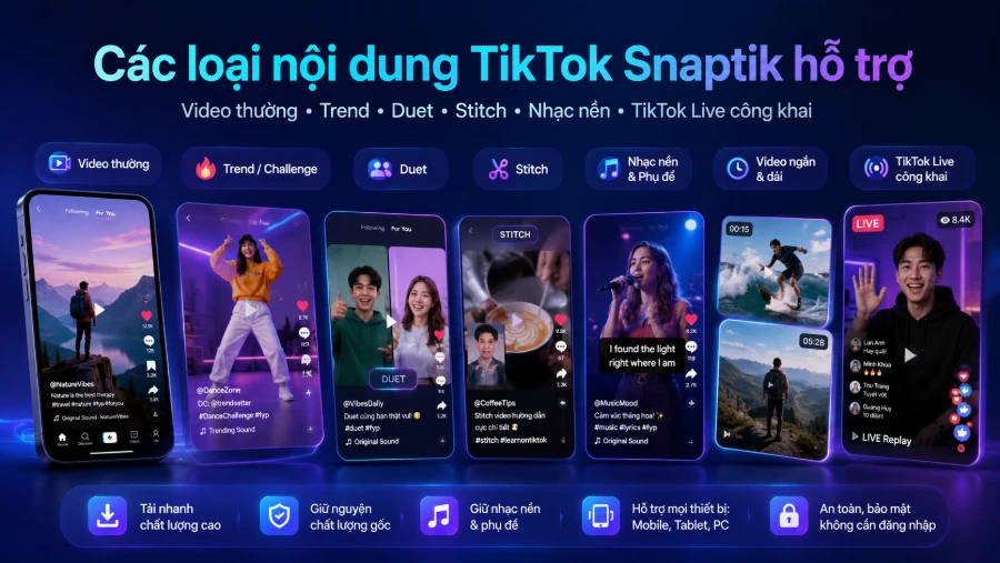 Các loại nội dung TikTok Snaptik hỗ trợ
